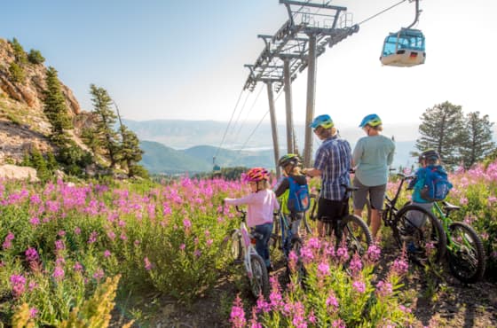 flowers_or_valley_views_with_bikes