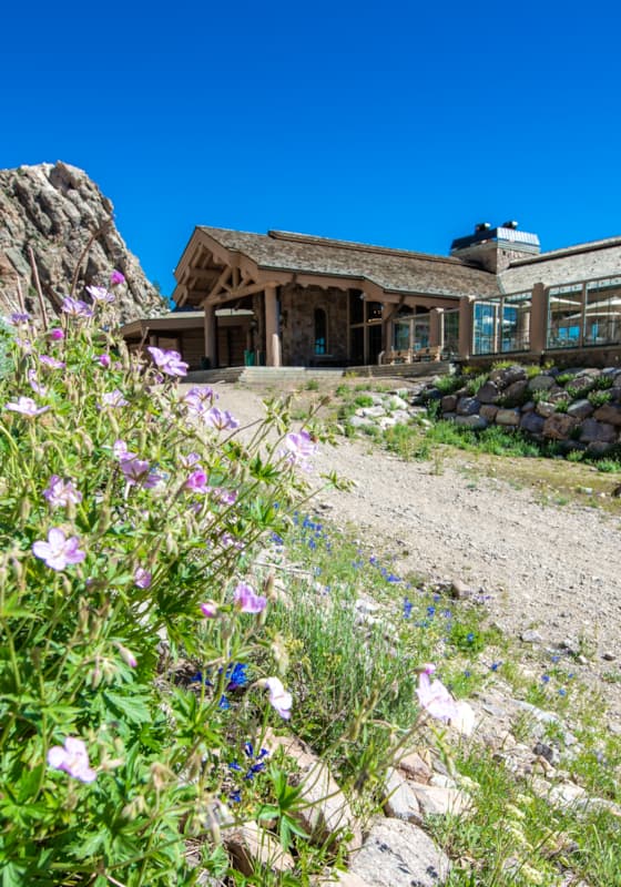 needles-lodge