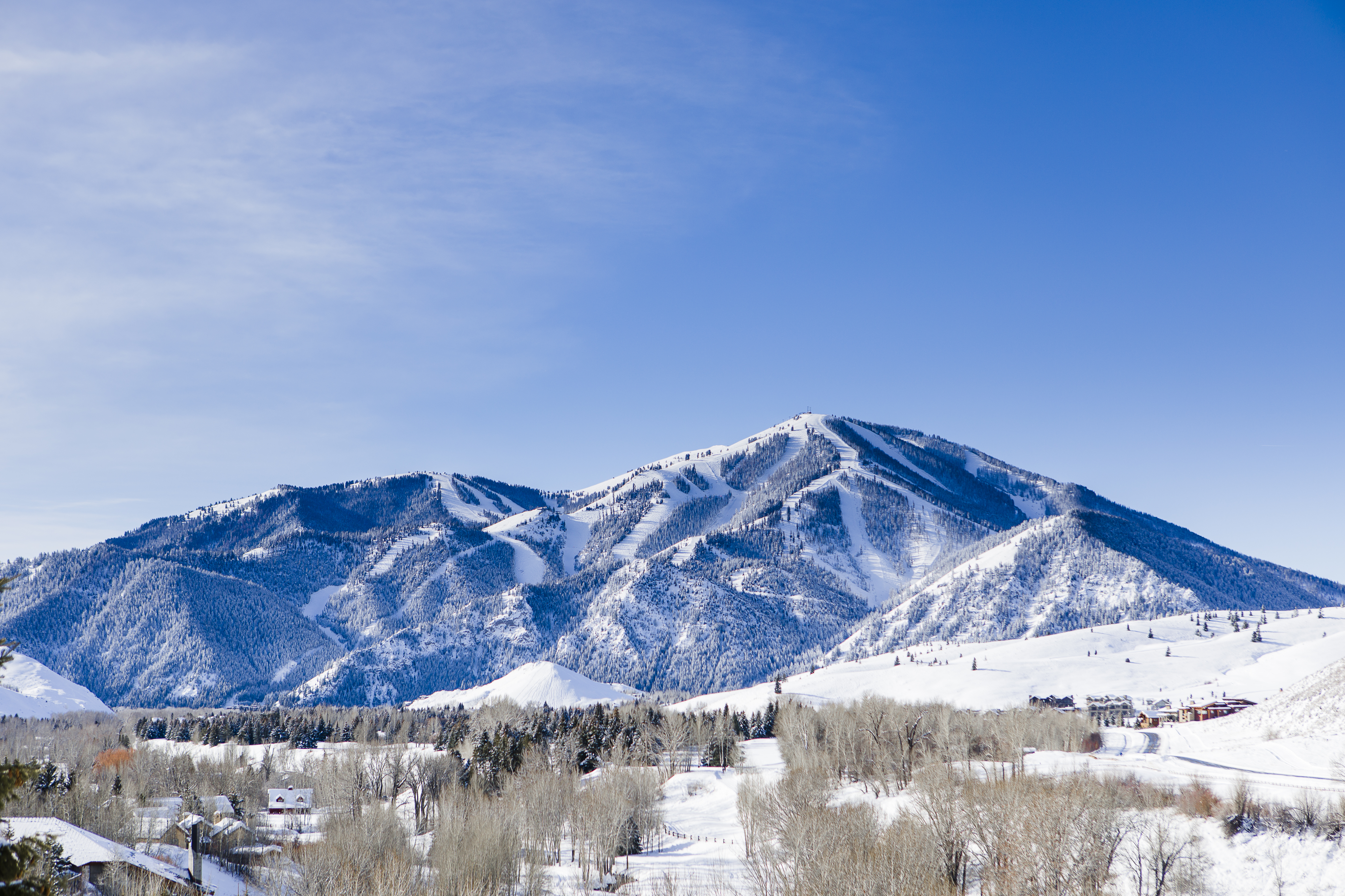 bald-mountain_svr-(2)