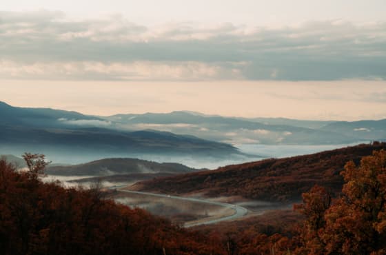 fall_scenic_foggy_road