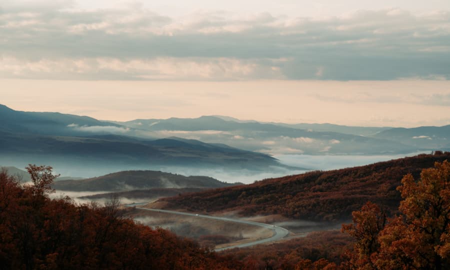 fall_scenic_foggy_road