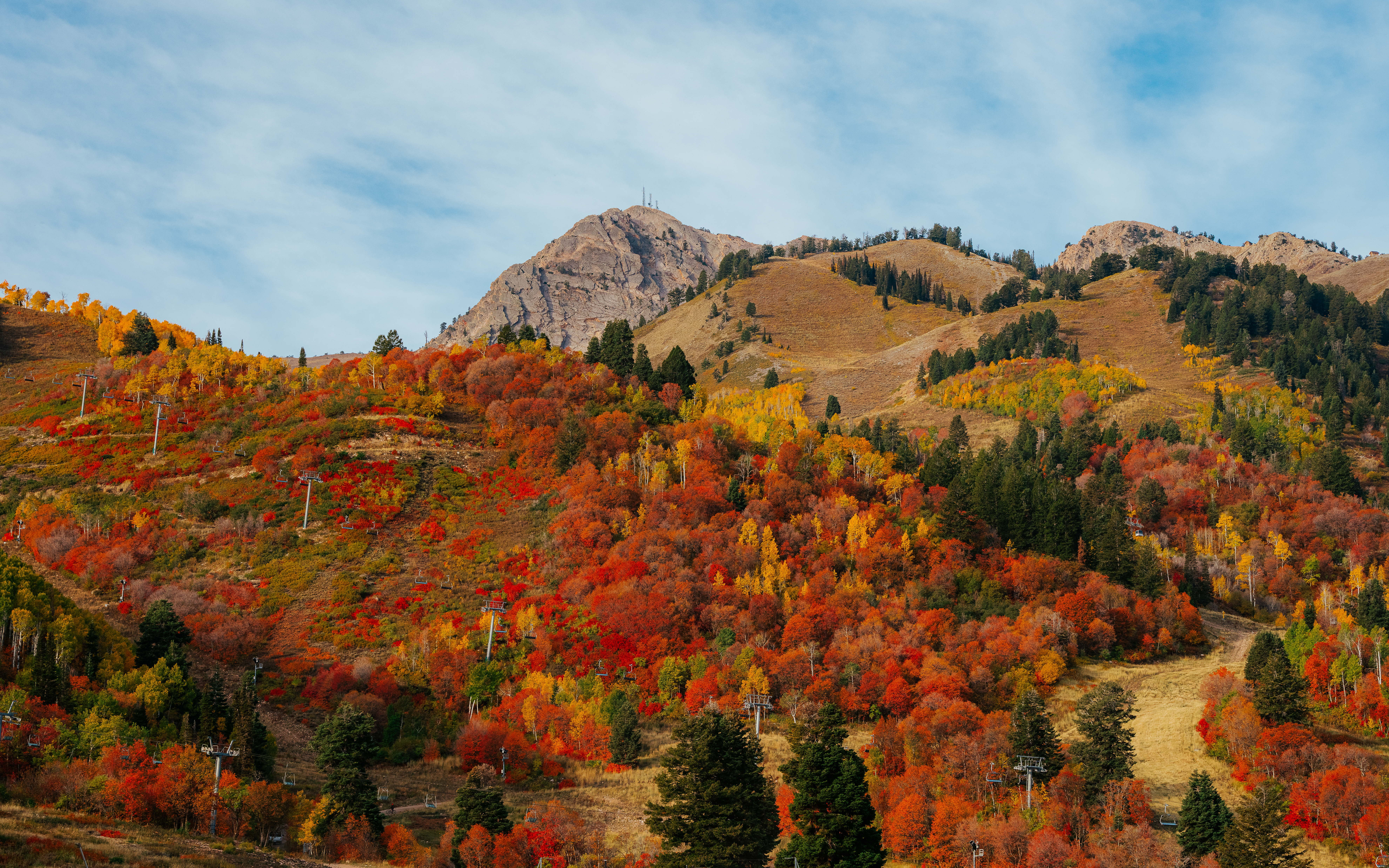 scenic-fall-leaves-mt-ogden