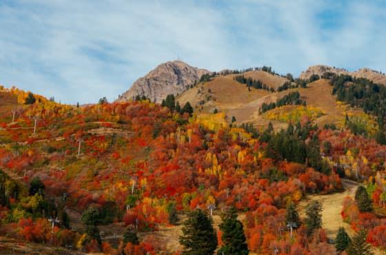 scenic-fall-leaves-mt-ogden