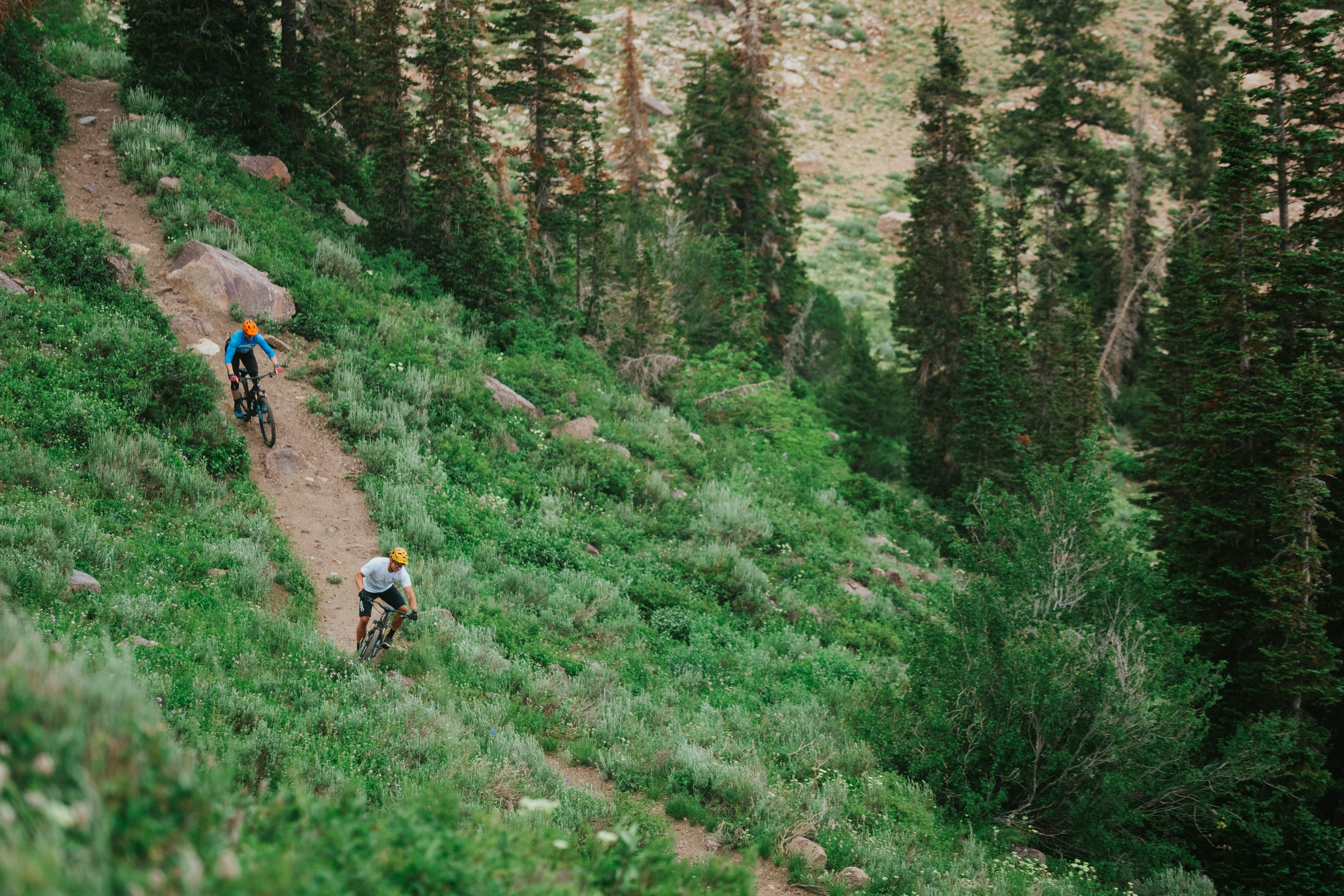 sb-porcupine-biking