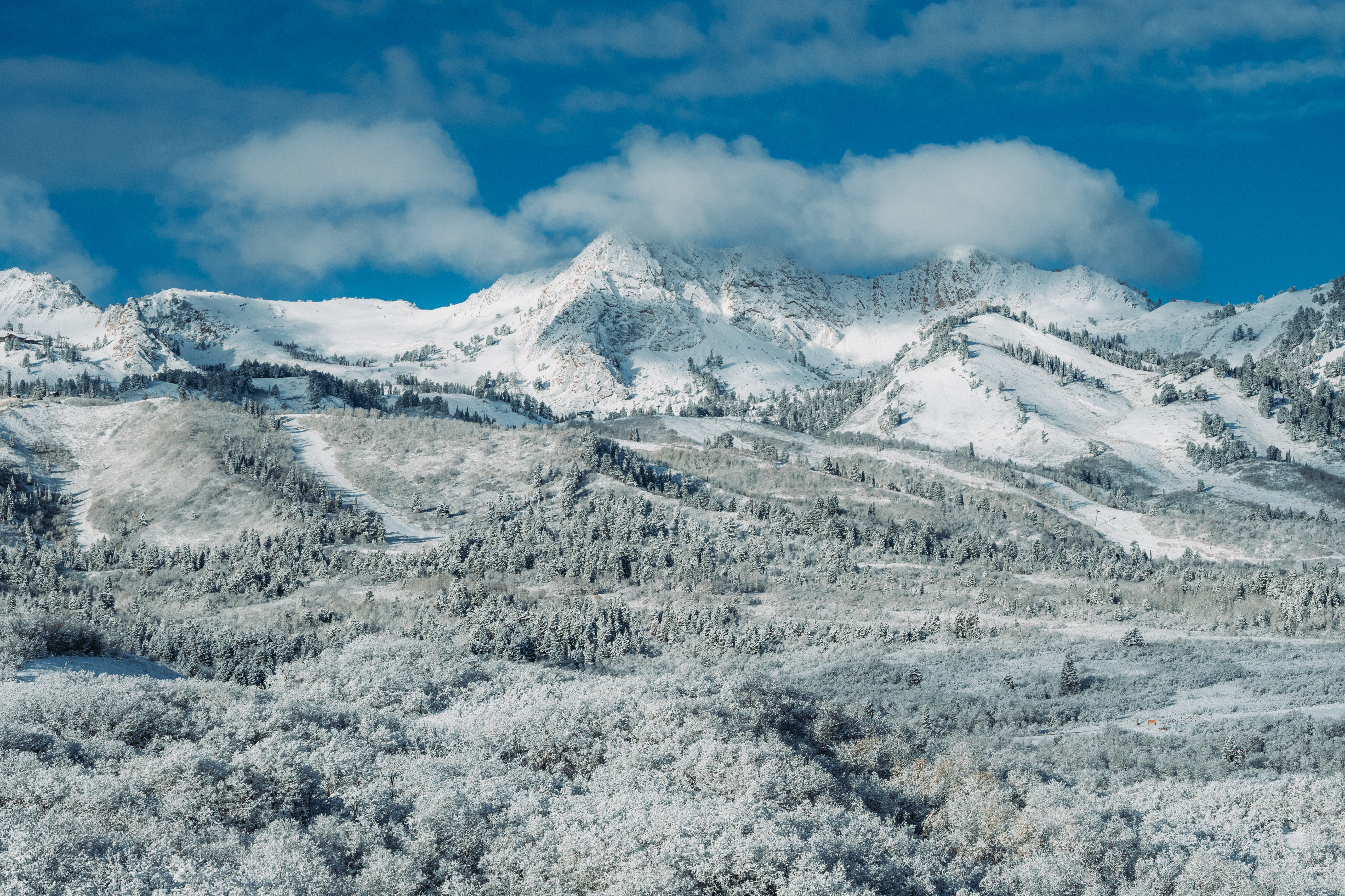 early_snow_scenic