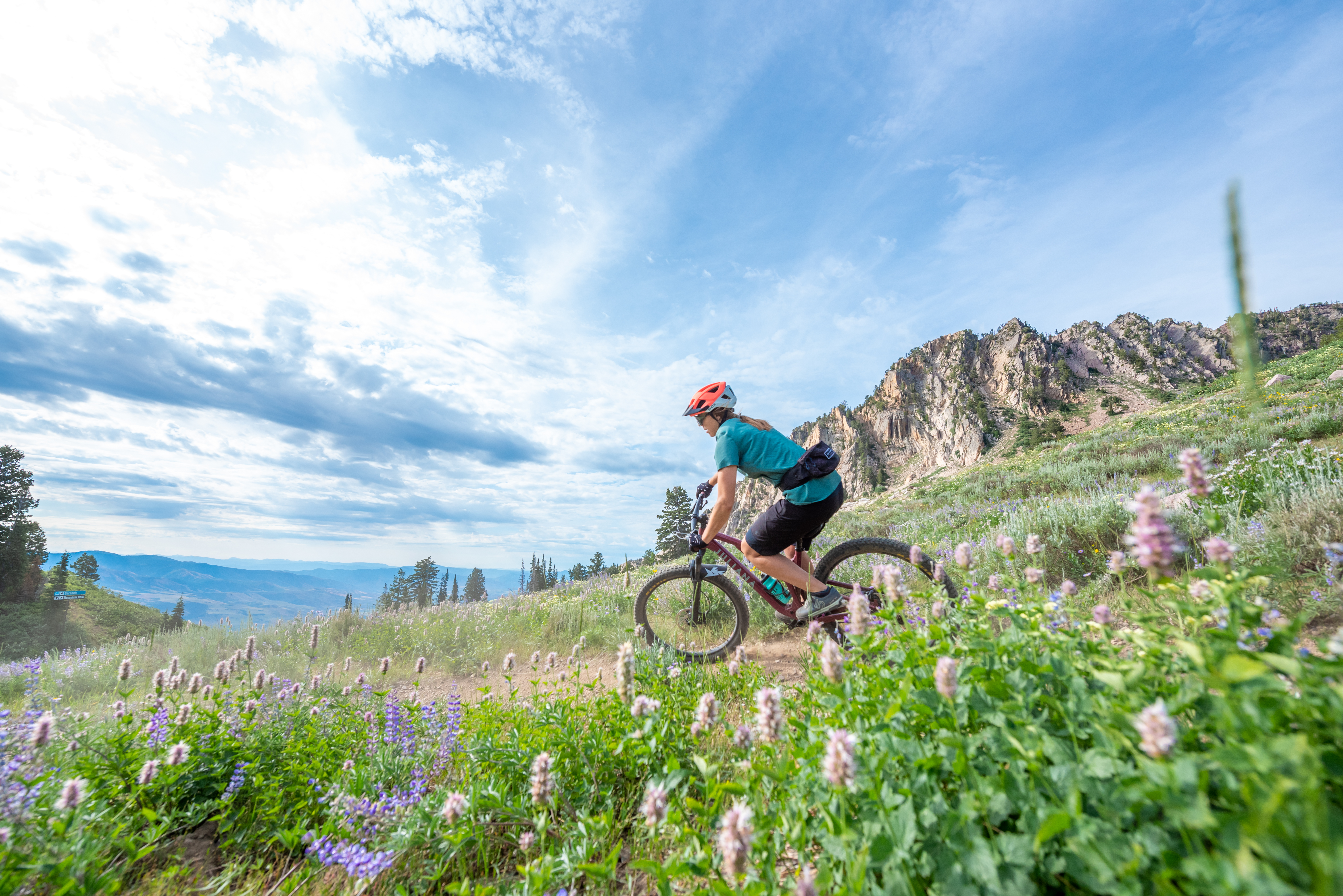 mountain-biking-strawberry-terrain