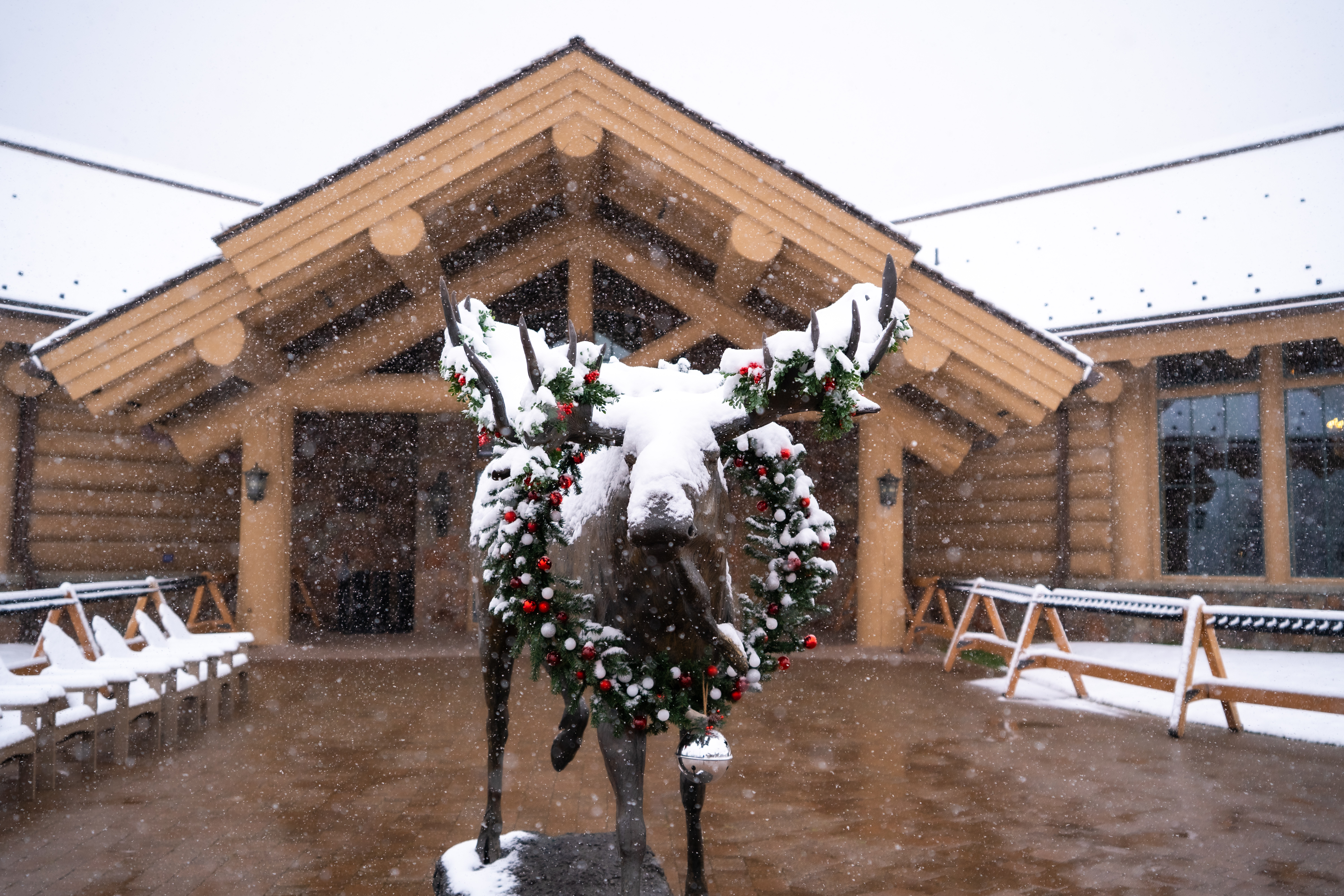 holiday_parties_moose