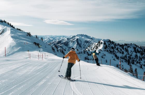 sb_winter_groomed_skierboarder