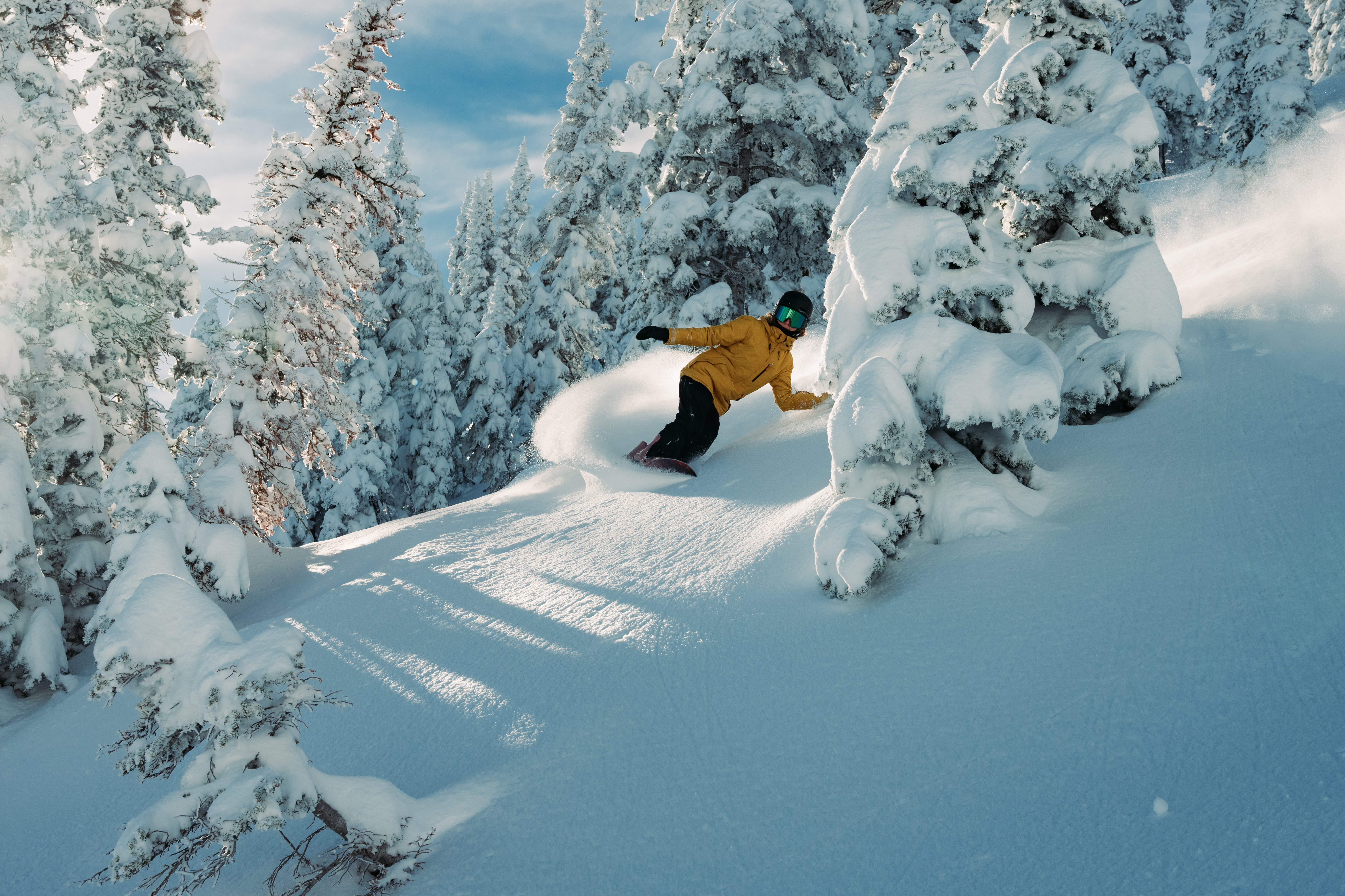 winter_Action_powder_Micah_NN